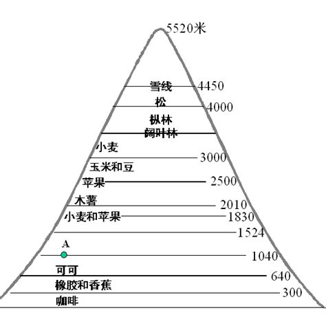 海拔高度查詢地圖|查找图像的日期、海拔和坐标